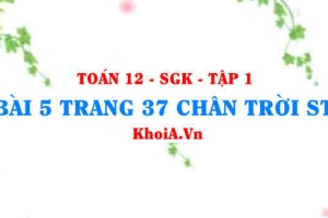 Bài 5 trang 37 Toán 12 Tập 1 Chân trời sáng tạo